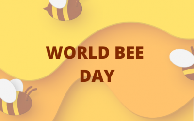 World Bee Day May 20 🐝